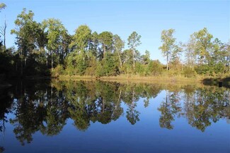 00 James Troup Rd, McRae, GA 31037