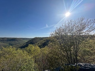 0 Hood Ln Unit 23233138, Wilder, TN 38589