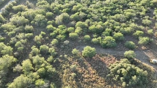 TBD W King Ln, Beeville, TX 78102