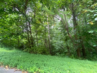0 Eagle's Cove Pkwy Unit 1294190, Maynardville, TN 37807