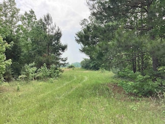 1006 Hempstead 24 Rd, Blevins, AR 71825