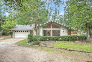 467 Bent Horseshoe Ln, Holly Lake Ranch, TX 75765