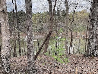 8118 Summit Ridge Dr, Catawba, NC 28609