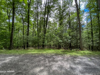0 Serge Mountain Rd, Howard, PA 16841