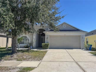 4150 Branchside Ln, Wesley Chapel, FL 33543