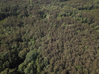 000 Palmetto Branch Rd, Jena, LA 71342