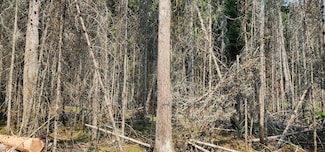 3 W Shiawassee Trail, Hessel, MI 49745