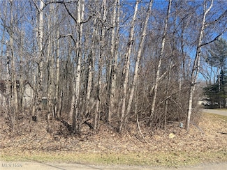 2455 Plum Creek, Roaming Shores, OH 44084