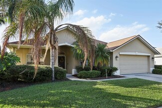 3407 Fox Squirrel Ln, Valrico, FL 33596