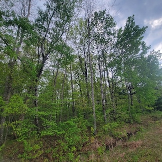 Lot 10 County Road A, Spooner, WI 54801