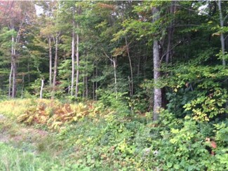 16 Benson Fuller Dr, Winhall, VT 05340