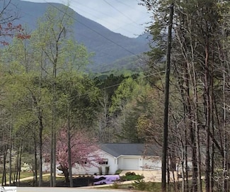 620 Oak Grove Rd, Landrum, SC 29356