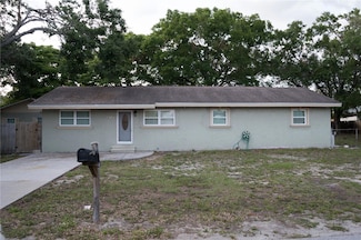 4114 E Sewaha St, Tampa, FL 33617