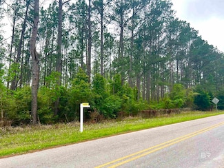 0 Bermuda Ln Unit 4 372651, Seminole, AL 36574