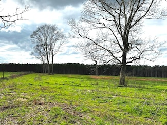 275 Sam Graham Rd, Prentiss, MS 39474