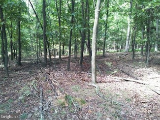 0 Stumpy Ln Unit PAFL2031674, Fort Loudon, PA 17224