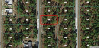 0000 SW Tree Top Rd, Dunnellon, FL 34431