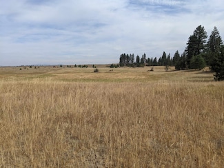 25073.9047 Unassigned Address Rd, Spokane, WA 99224