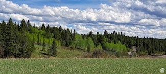 1670 Shadow Loop S Unit 13, Ashton, ID 83420
