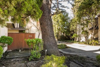 38 Crystal Springs Rd Unit 3, San Mateo, CA 94402