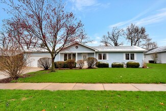 930 Jo Ann Dr, Wilmington, IL 60481