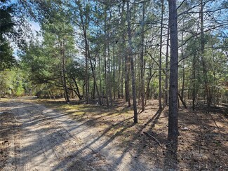 11391 SE 4th St, Williston, FL 32696