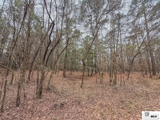000 Bull Creek Rd, Bernice, LA 71222