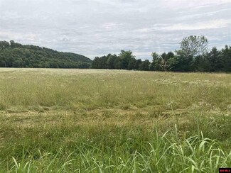 LOT 10 Denton Ferry Rd, Cotter, AR 72626
