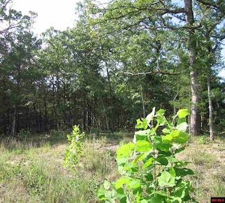 Lot 15 Sargent Pepper Dr, Flippin, AR 72634