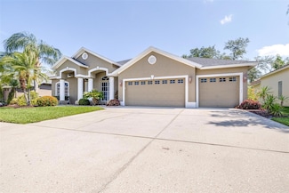 10016 Oxford Chapel Dr, Tampa, FL 33647