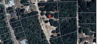 6753 N Kendrick Path, Dunnellon, FL 34434