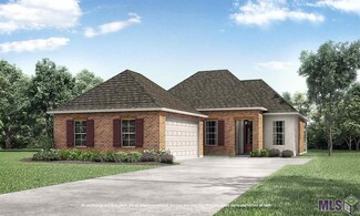 36358 Belle Journee Ave, Geismar, LA 70734