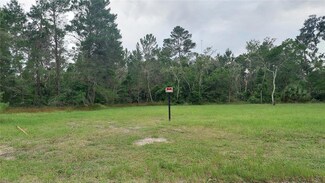 11922 Randee Rd, Moon Lake Estates, FL 34654