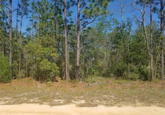 0 Interlachen Lakes Estates Unit #16, Interlachen, FL 32148
