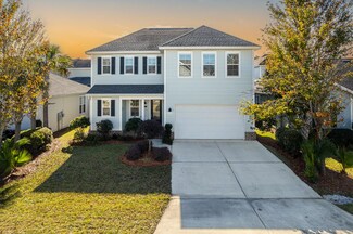 45 Hatton Ct, Santa Rosa Beach, FL 32459