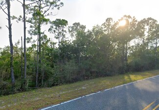 337 Levy Bay Rd, Panacea, FL 32346