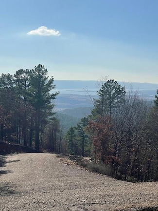 2 Sardis View Dr, Tuskahoma, OK 74574