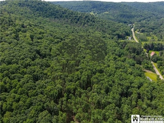 738 Four Mile Rd, Allegany, NY 14706