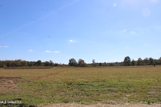 42 Pin Oak Rd, Michigan City, MS 38647