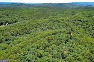 111 + - Acres Off Slate Mine Rd, Fairmount, GA 30139