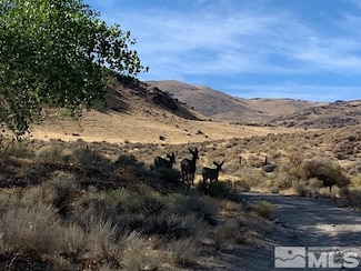 0 State Route 447 Unit 250003453, Nixon, NV 89510