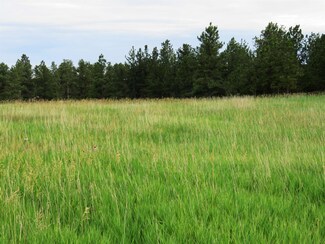 Lot 8 TBD True Grit Trail Unit Desperado Ranch, Custer, SD 57730