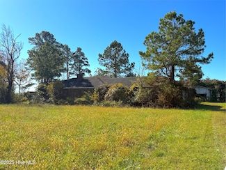 4688 N Carolina 99, Pantego, NC 27860