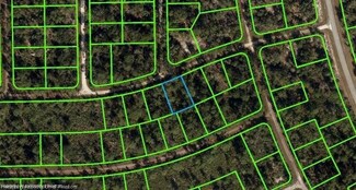 3238 Dean Ave, Lake Placid, FL 33852