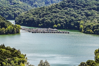 4 Seaton Dr, Smithville, TN 37166