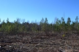 0 Chester - Cochran Hwy, Chester, GA 31014