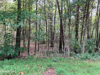 Lot 1129 Cove Ln, Baneberry, TN 37890