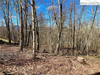 38 Sugar Tree Ln, Sugar Mountain, NC 28604