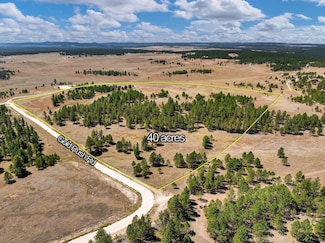 TBD Gold Rush Rd, Pringle, SD 57730