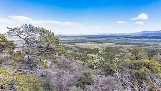 15621 Rancho Verde Ln, Trinidad, CO 81082